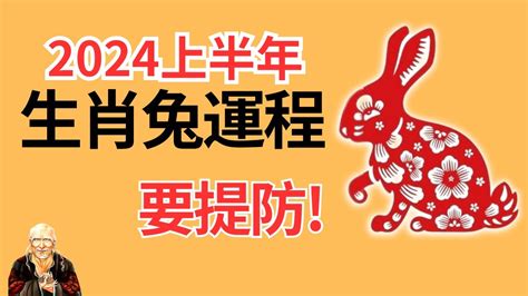 兔2024年运程|生肖兔2024年运程 生肖兔2024年每月运势大全